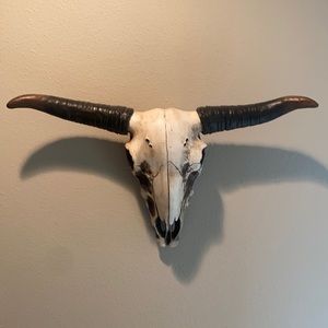 Cow Skull Wall Decor